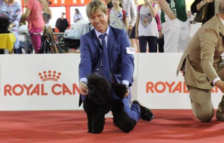 Didi milano world dog show