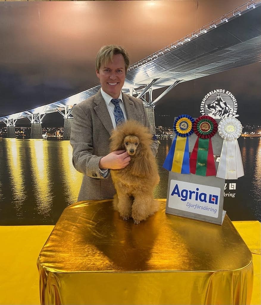 Våra champions, kevin